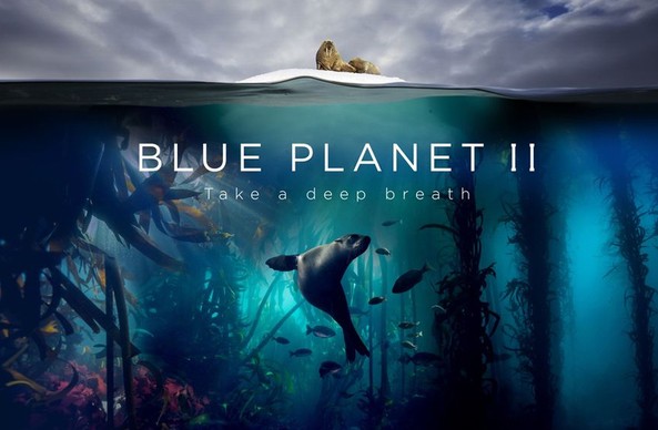 Did you watch it; Blue Planet 2; We told you so!