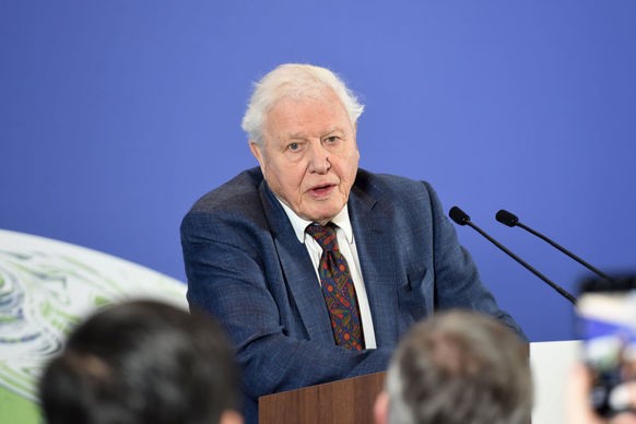 An open letter to Sir David Attenborough