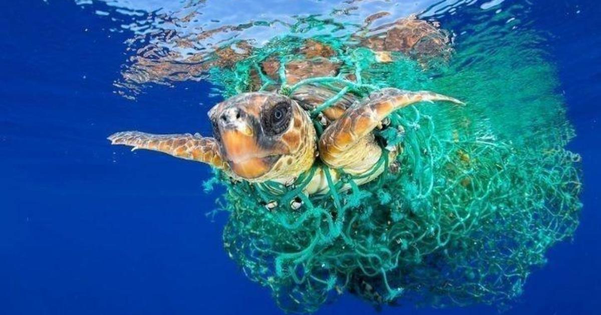 Ocean Plastic Pollution - How big is the problem? | National Flexible